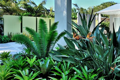 Craig Reynolds Key West Landscape Design Hardscape Tropical Pool