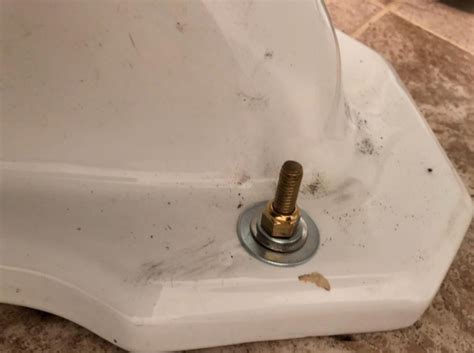How To Replace Toilet Mounting Bolts Fast Toilet Haven
