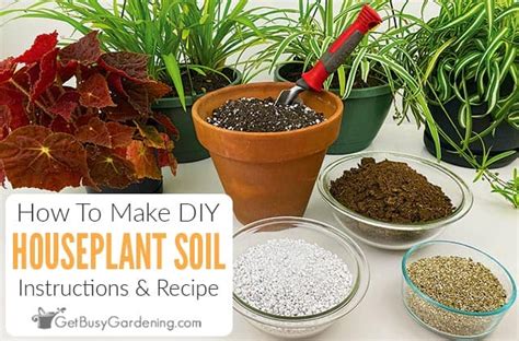 To znamená, že nejlepší půda pro vánoční kaktus je extrémně dobře vyčerpávající. How To Make Potting Soil For Indoor Plants - Get Busy ...