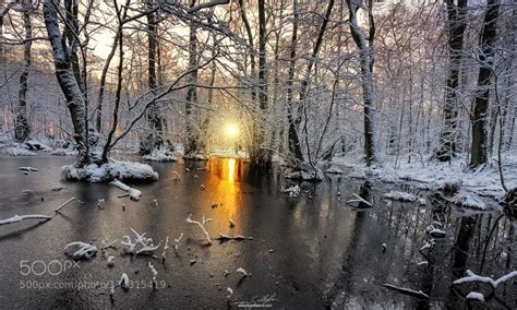 Winterless Landscape Snowy Trees Winter Scenes