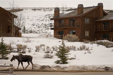 spring creek ranch jackson wyoming us