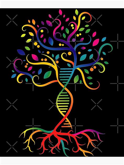 Dna Tree Colourful Biology Science Tree Tree Of Life Poster For Sale