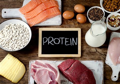 21 Delicious High Protein Foods for Metabolism - Daily Health Series