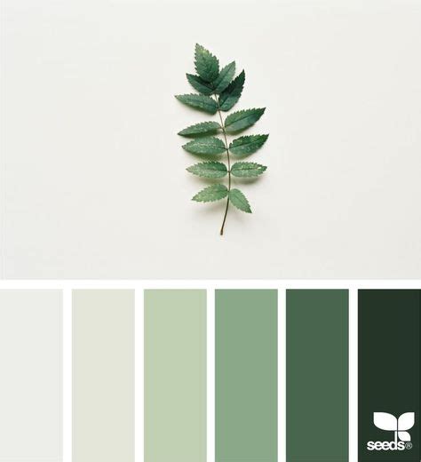 Las Mejores Ideas De Paletas De Color Verde Paleta De Color