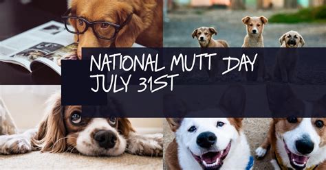 Happy National Mutt Day To All Mutts And Their Parents