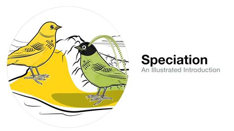 Speciation An Illustrated Introduction Youtube