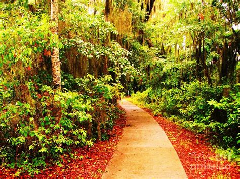 Colorful Pathway Photograph By Brad Meyers