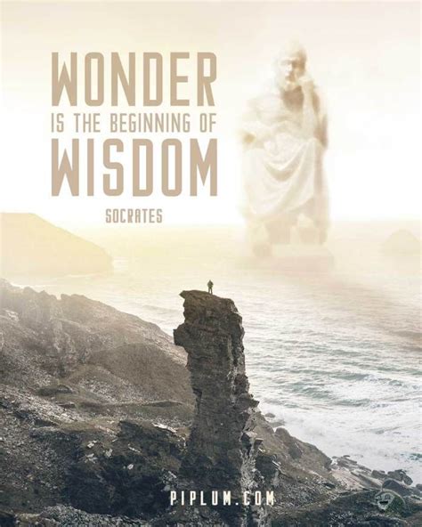 One Of The Best Inspirational Quotes Wonder Is The Beginning Of Wisdom