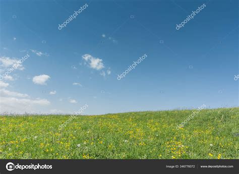 Colorful Flower Meadow Sky Clouds Spring — Stock Photo © Thomaseder