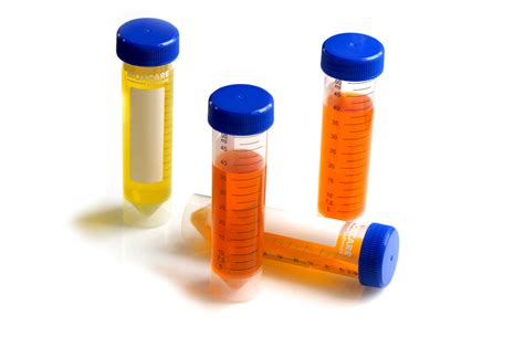 Check spelling or type a new query. CENTRIFUGE TUBE SELF STANDING | Moxcare