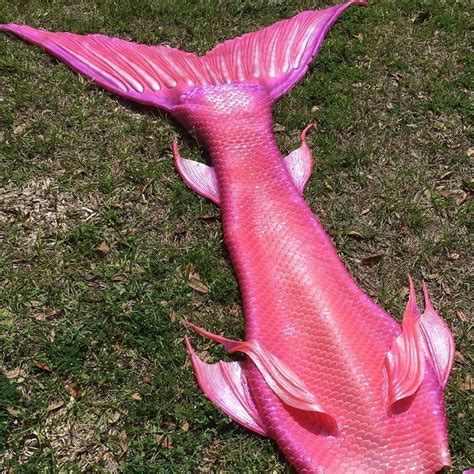 Mertailor Mermaid Tails By Eric Ducharme Pretty In Pink By Mertailor