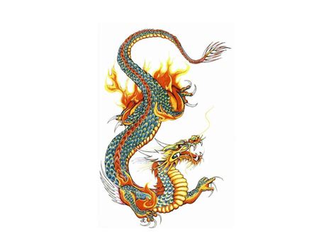We did not find results for: Dragon Tattoo Wallpapers - Wallpaper Cave