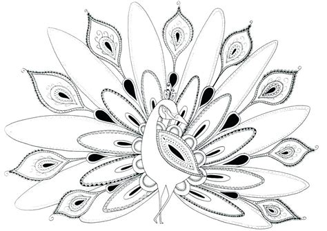 Peacock Feather Coloring Page At Free Printable Colorings Pages To Print And