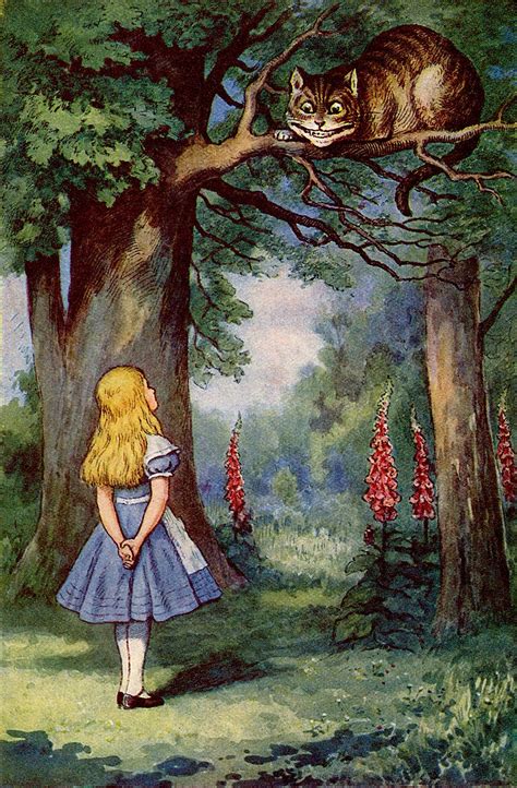 Alice In Wonderland Vintage Alice In Wonderland Illustrations Alice And Wonderland Quotes
