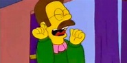 Ned Flanders, uno de los personajes más querido de los Simpsons ...