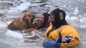 Wellesley dog owner thanks firefighters who rescued retriever - YouTube