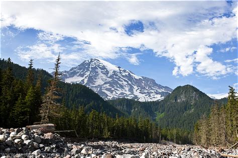 Longmire Area Of Mount Rainier National Park
