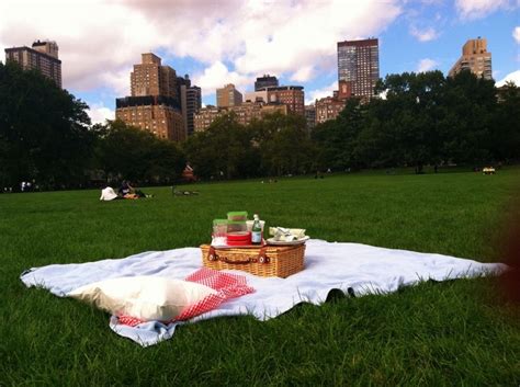 Picnic In Central Park New York I Guess Id Be Willing To Settle For