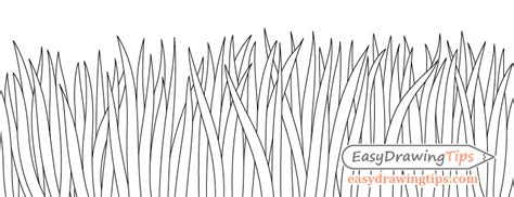 How To Draw Grass In 3 Different Ways Tutorial Easydrawingtips