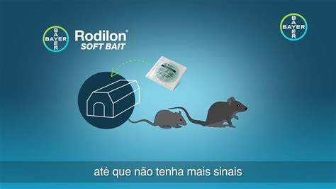 Como eliminar ratos Rodilon Soft Bait a Solução Bayer vídeo 2 YouTube