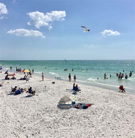 Exploring Fun Things To Do In Clearwater Beach A Boomers Life After