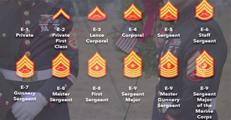 Us Marine Corps Ranks And Insignia Check Complete List In Order