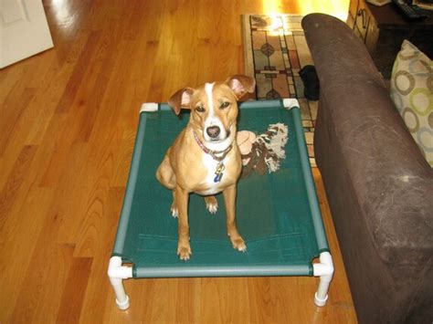 Animal Shelter Dog Beds Large Dog Bed 4 Sizes Canvas Dog Bed