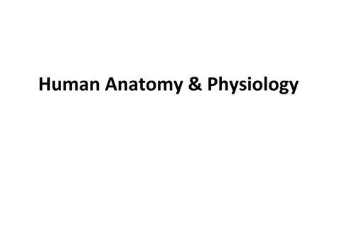 Pdf Human Anatomy And Physiology Academic Computer