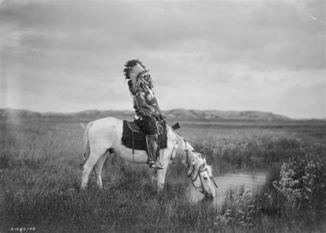 the iroquois first native american conservationists about indian country extension