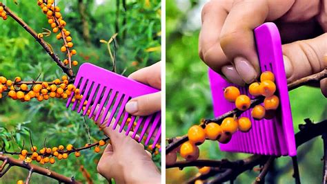 smart gardening hacks you ll want to know youtube