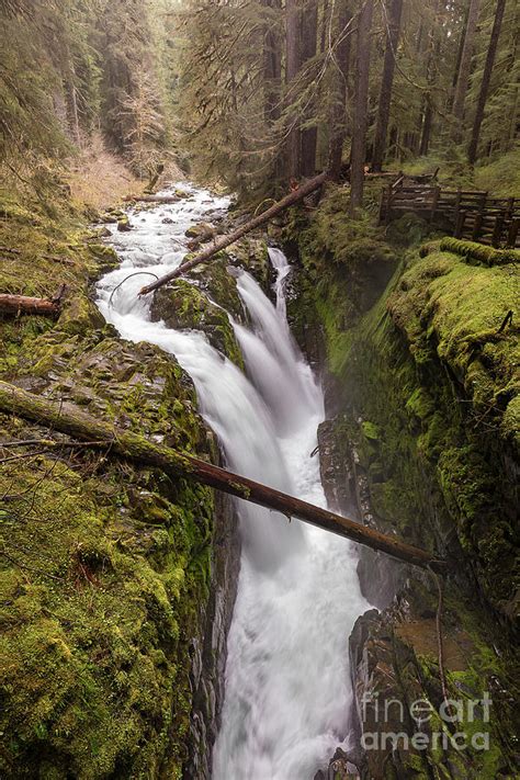 Sol Duc Falls In Olympic National Park Washington Photograph By Brandon
