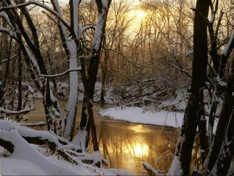 Harpeth River Winter Sunrise Williamson County Tennessee