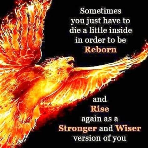 Spiritual rebirth is an intimate dance between pain and joy, destruction and reconstruction, confusion and clarity, despair and hope. Pin by Ms C on Inspirational and Provoking Thoughts | Bird ...