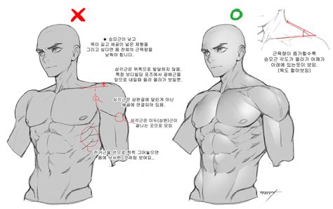 Pin by 犬川けんき on draw Anatomy reference Drawing tutorial Drawings