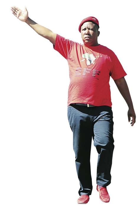 Julius Malema Julius Malema Earns His Honors Degree Youth Village