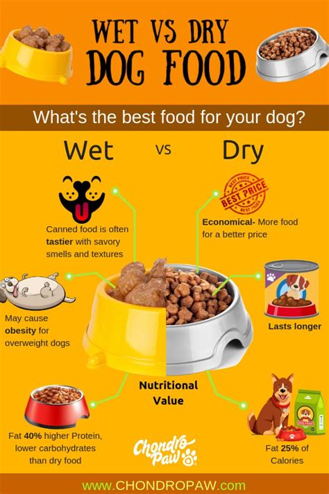 Dry food for cats wet food is a natural source of water, a critical nutrient. The best #dog food! Wet vs Dry | Can dogs eat tomatoes ...