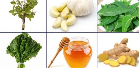 13 Home Remedies That Will Save You From Swine Flu Use Basil Leaves To