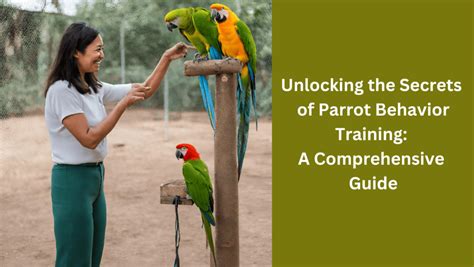 Unlocking The Secrets Of Parrot Behavior Training A Comprehensive Guide Tiny Parrots