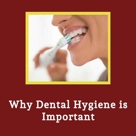 Why Dental Hygiene Is Important West Palm Beach Dentist