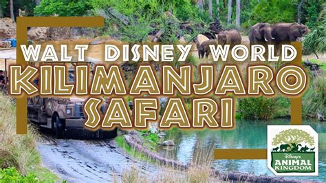 Kilimanjaro Safari Animal Kingdom Walt Disney World Attraction
