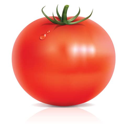 tomato vector art ai svg eps vector