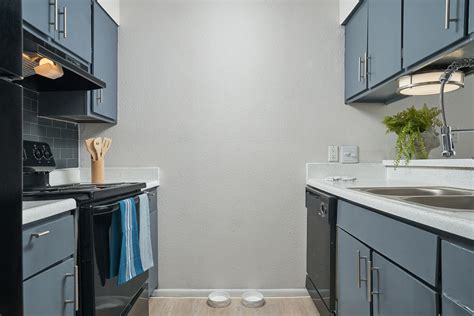 Distinction Apartment Homes - Amenities