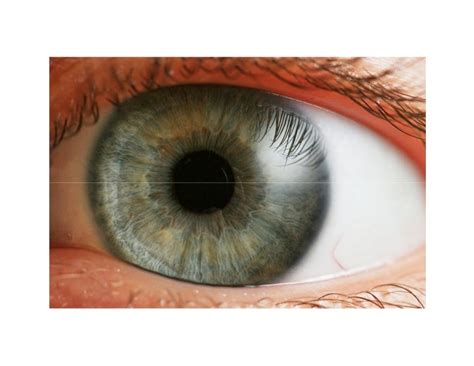 Black Spots In Vision Cloudy Vision In One Eye How To Improve Your