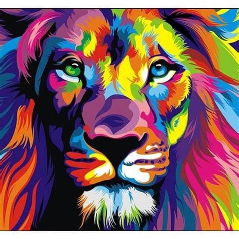 Colorful Lion Art Illustrations Emilee Frankhouser