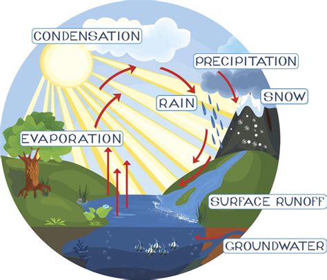Diagram Explain The Process Of Water Cycle With The Help Of Diagram