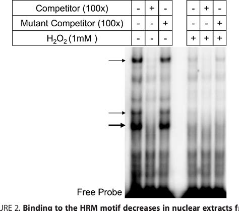 Figure From Regulation Of H O Stress Responsive Genes Through A