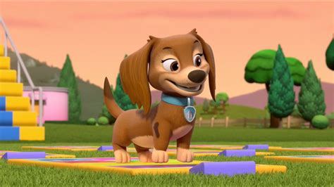 Pups Save The Pup Pup Boogie Contestquotes Paw Patrol Wiki Fandom