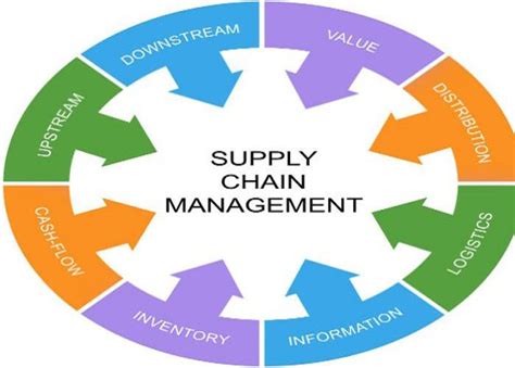 Global Healthcare Supply Chain Management Market Size