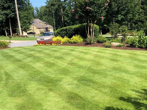 Zeon Zoysia Grass Order Sod Online For Pick Up Or Delivery Super Sod