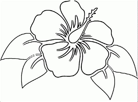 Hawaiian flowers coloring pages | nucoloring.xyz Hibiscus - Free Colouring Pages